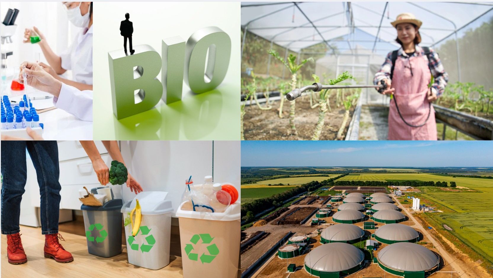 BIO