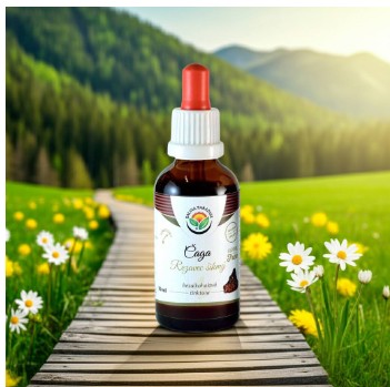 Salvia Paradise Čaga Rezavec šikmý AF tinktura 50 ml