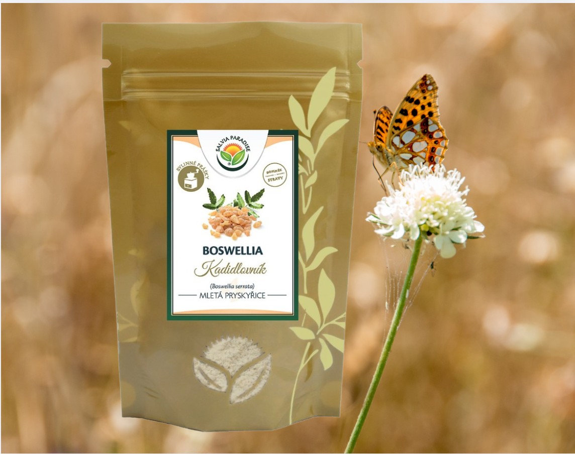 Boswellia serrata - kadidlovník prášek 100 g
