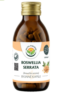 Salvia paradise Boswellia serrata 120 kapslí kadidlovník