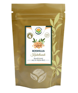Boswellia serrata - kadidlovník prášek 100 g