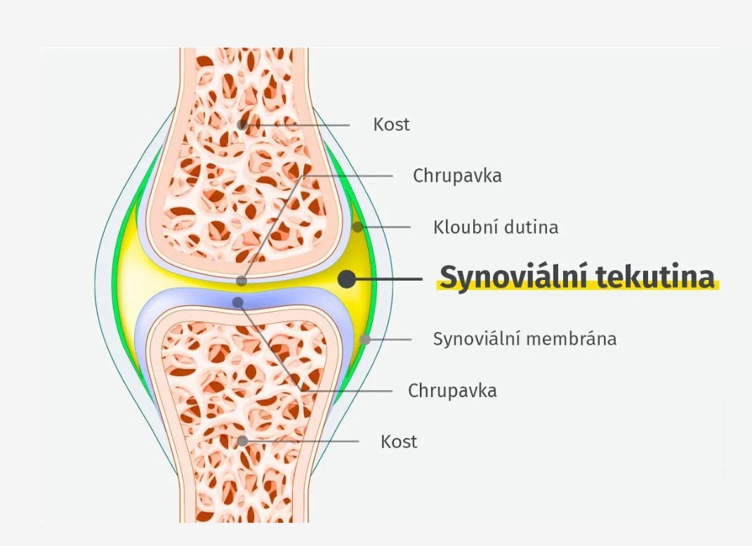 synovinální tekutina